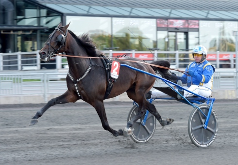 Veijo Heiskanens kapable Kurri Jari Boko gör en spännande årsdebut på lördag. Foto av Lars Jakobsson TR Bild